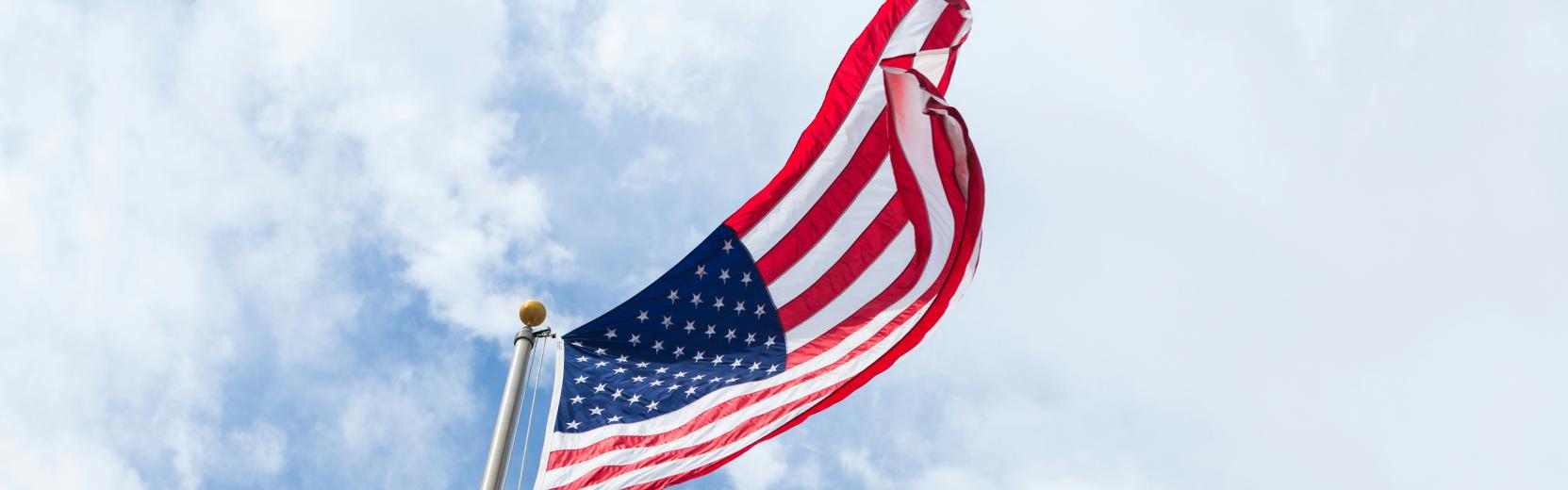 amerikansk flagga