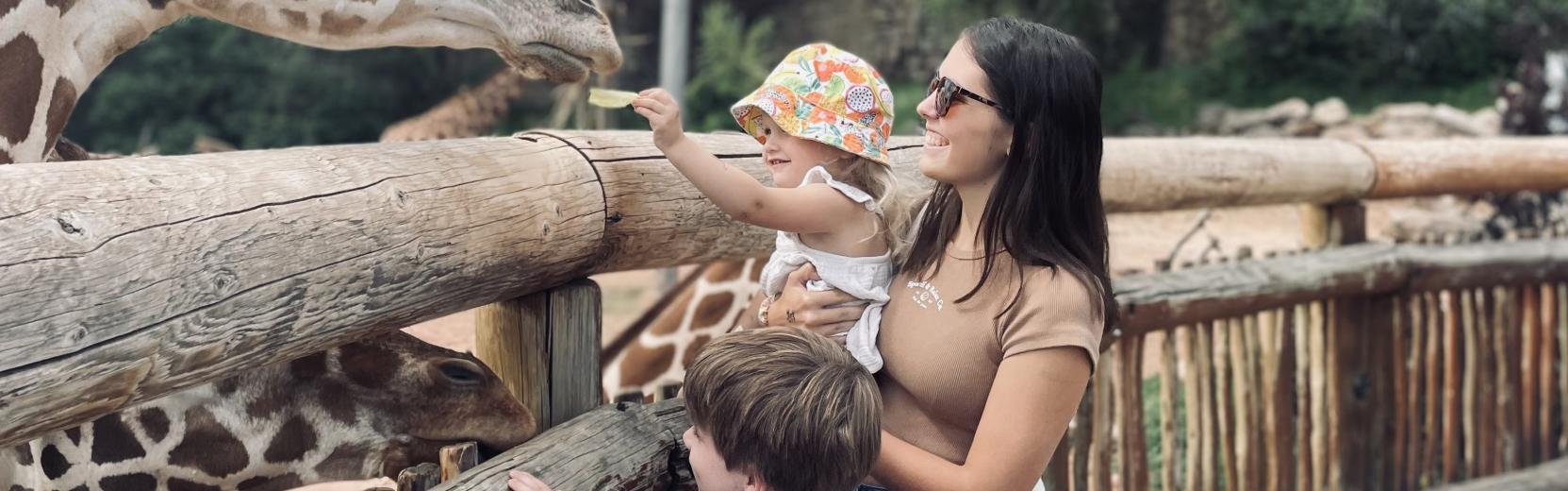 au pair med två värdbarn på zoo som matar en giraff