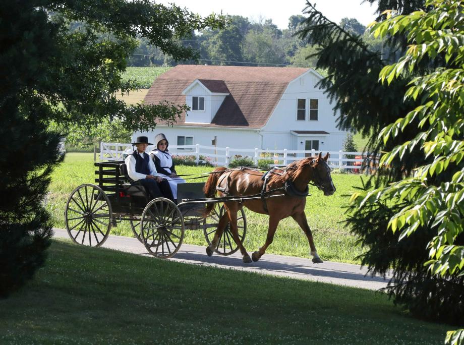 Amish-par i en hästvagn